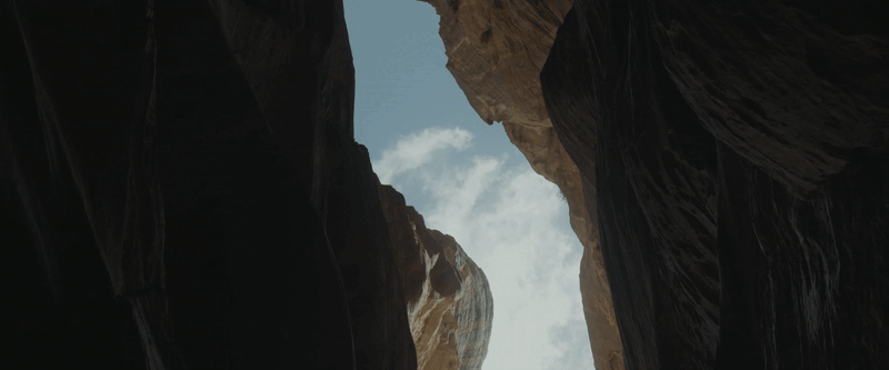 Footage licensed for "Predator: Badlands."