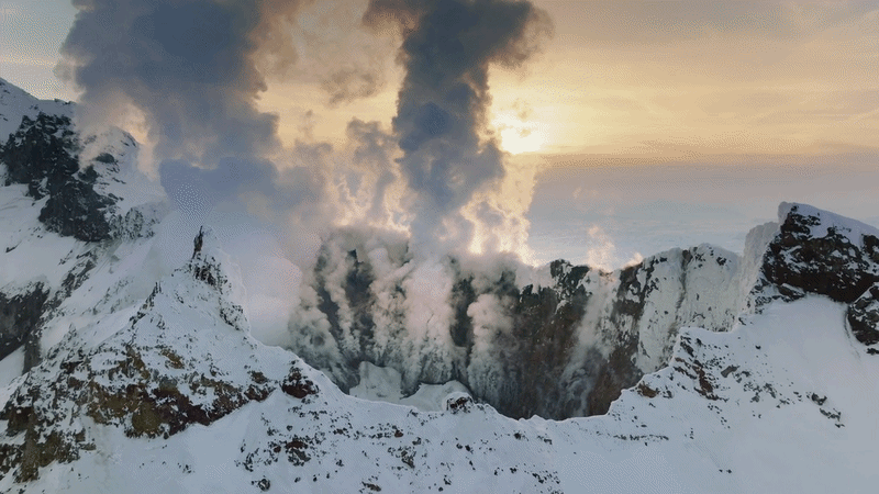 Footage licensed for Netflix's The Dinosaurs.