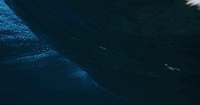 Footage licensed for Netflix's The Dinosaurs.