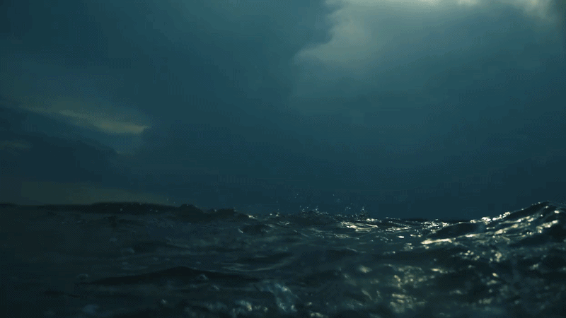 Footage licensed for Netflix's The Dinosaurs.